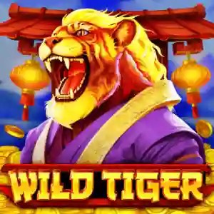Play Wild Tiger slot by BGAMING on monro-casino-at.at